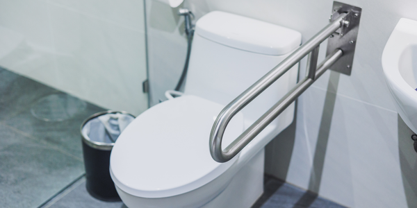 handicap toilet